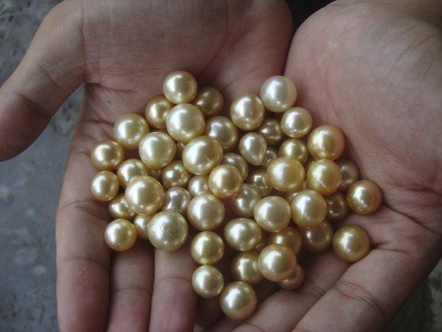220260_216588905021687_185978991416012_978843_4335495_o South-sea gold natural color