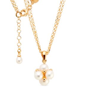Double chain necklace and pendant