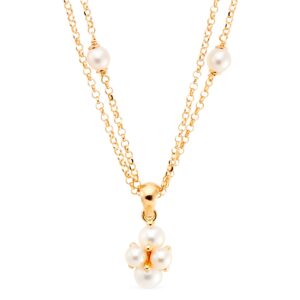 Double chain necklace and pearls with pendant