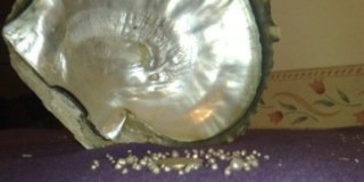 85 natural pearls inside one single oyster_1