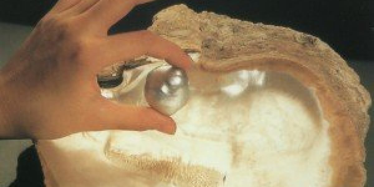 Do you know the South Sea pearls_1