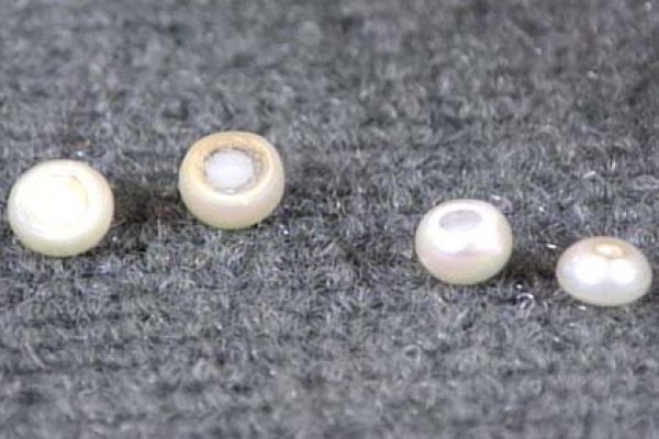 Natural pearls birth and chimical composition