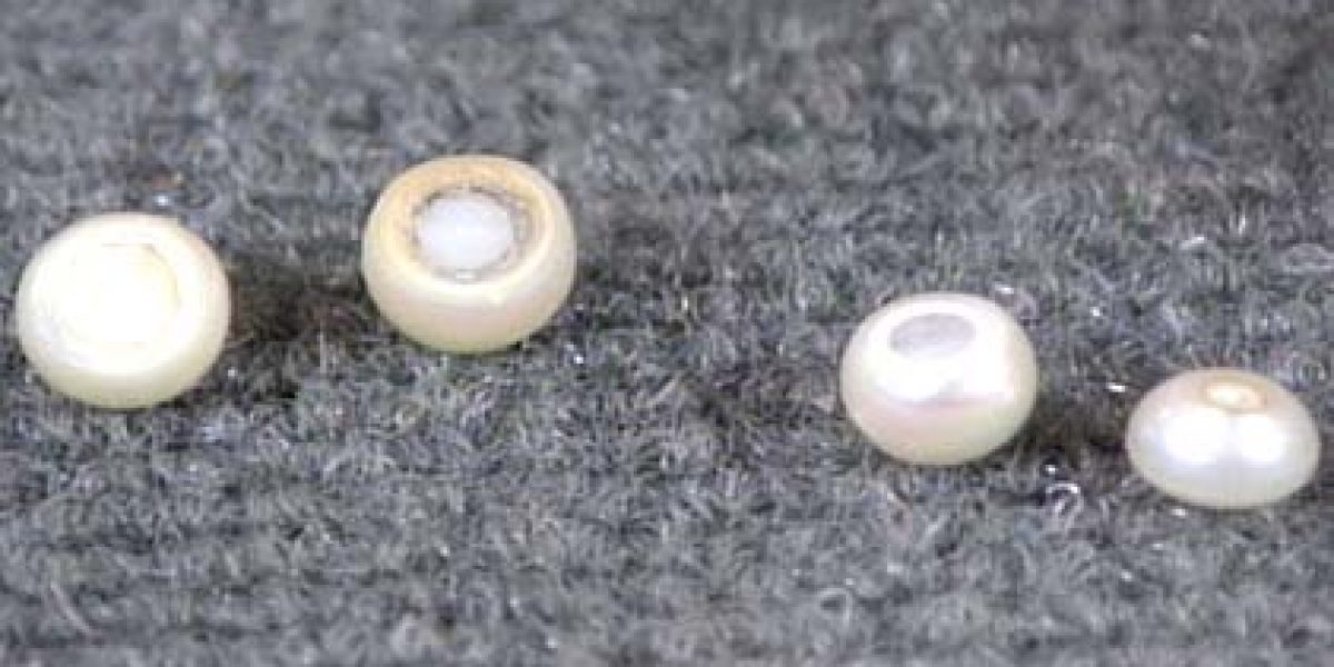 Natural pearls birth and chimical composition