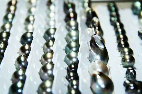 Pearls of Tahiti the history_1