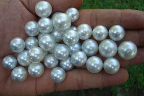 South Pacific Pearls, the biggest and most precious ones!_1