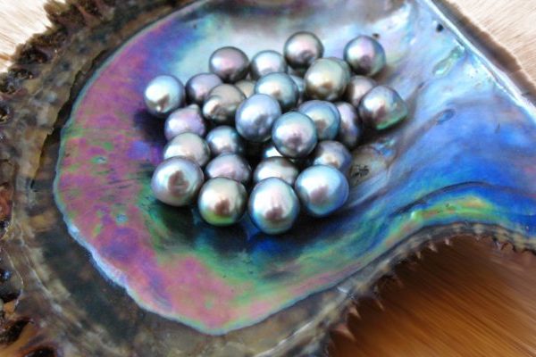 The Big Yaqui pearl_1