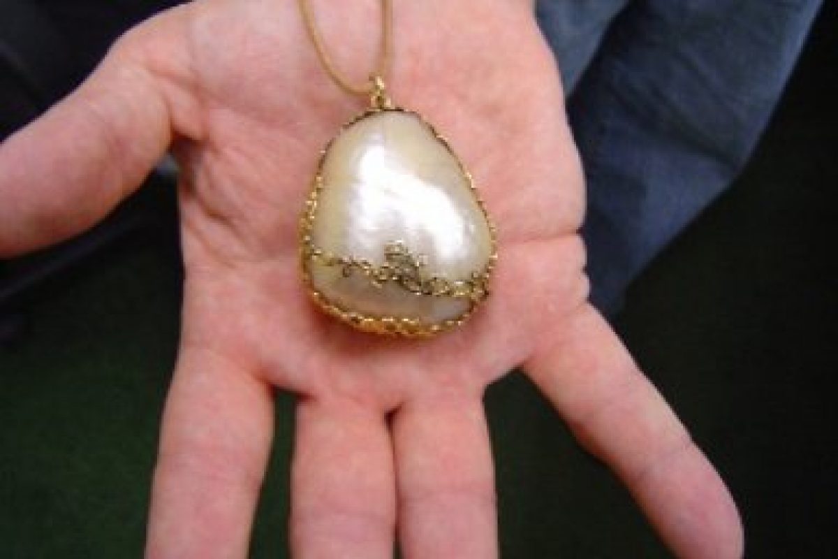 The Gogibus pearl