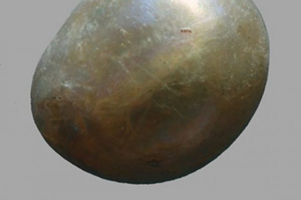 The most ancient pearl in the world