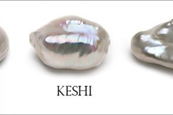 The new CBSB pearl and the return of the Biwa mussels