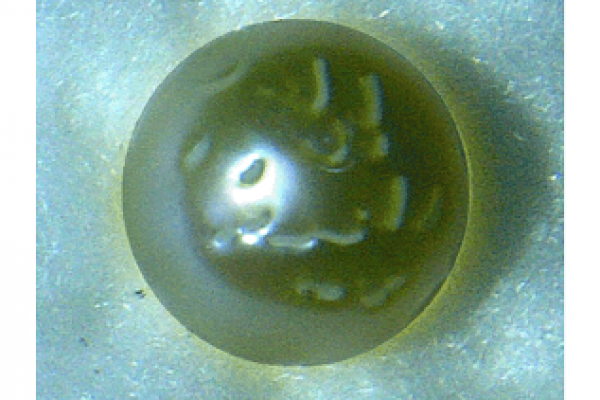 The pearl with the name of Allah_1