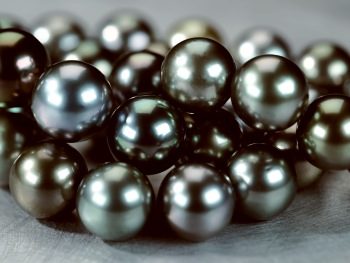 Selling Cultured Tahitian Pearls