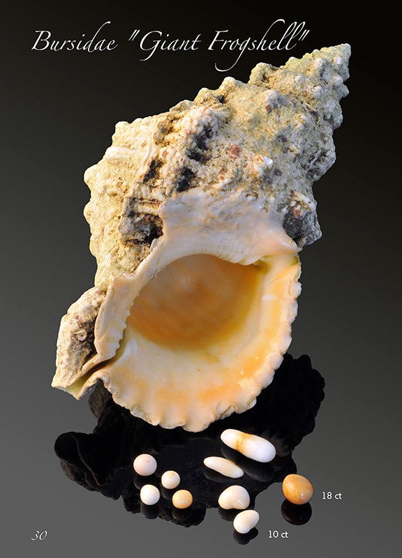 Bursidae pearls