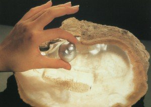 Do you know the South Sea pearls ?