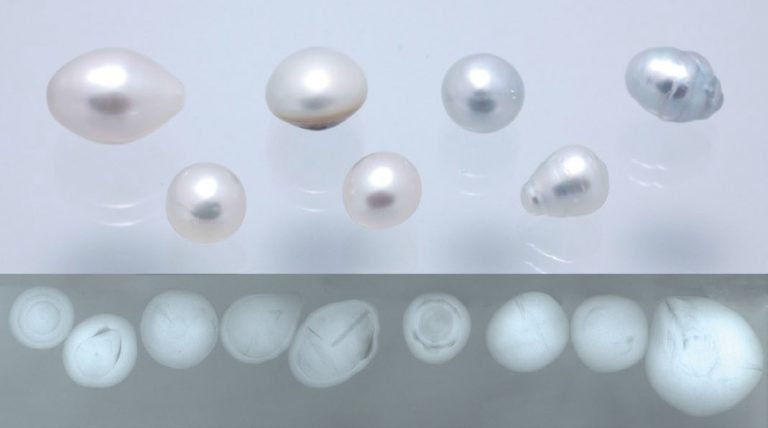 Genisi Come distinguere le perle coltivate dalle naturali