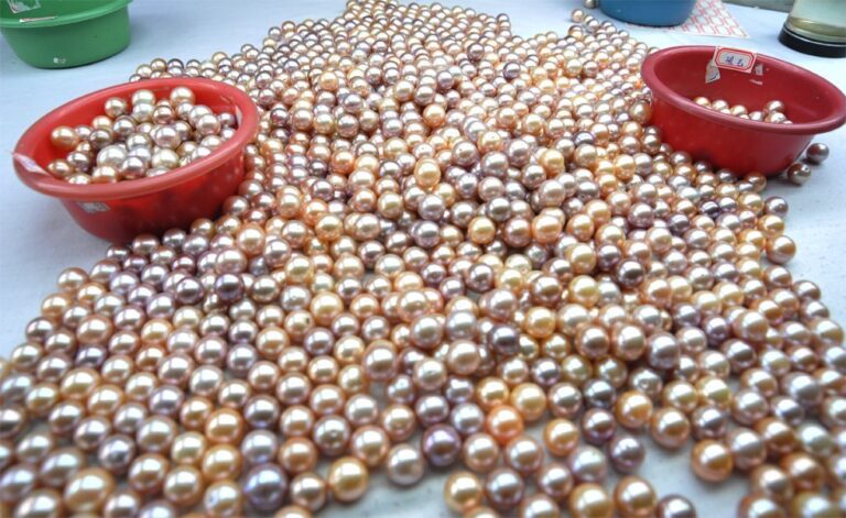 In aumento il prezzo delle perle d’acqua dolce in Cina