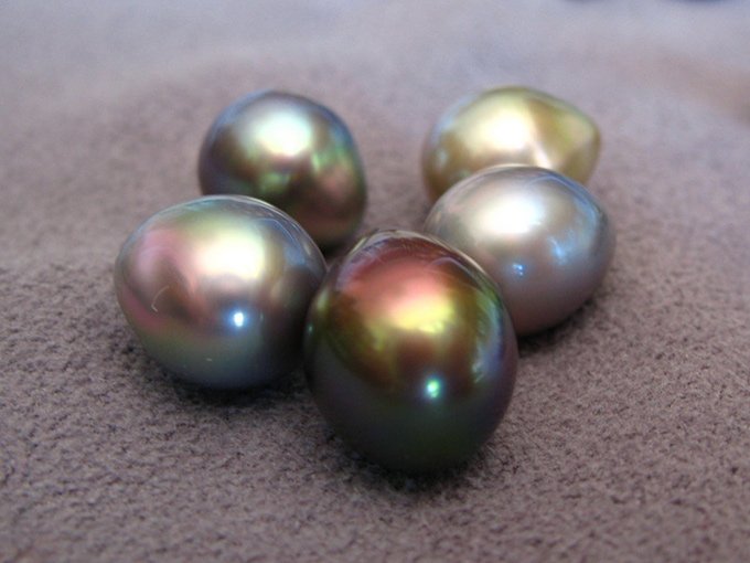 Perle Naturali: quanti tipi di perle naturali esistono?