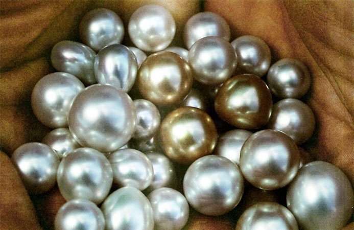 Le perle australiane dei mari del sud