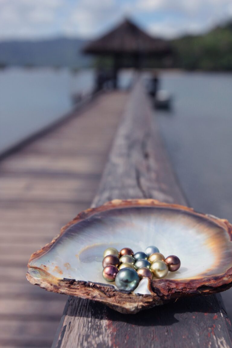Le perle nere di Tahiti sono sempre esclusive.