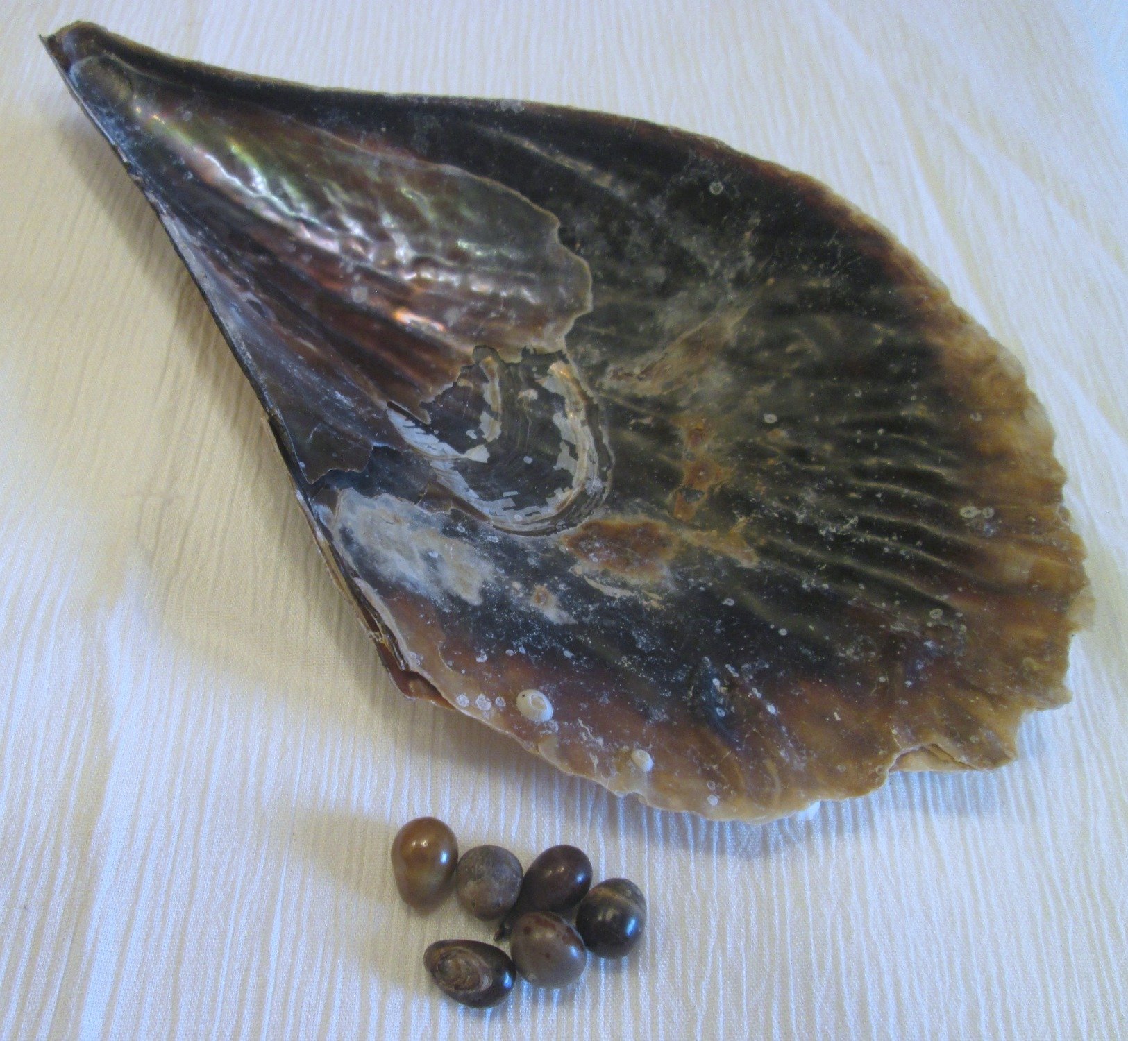 Perle Akoya Naturali Da 7-8x8-9 Mm, Perle Sciolte Filo Intero All - Foto 5