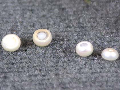 Natural pearls: birth and chimical composition