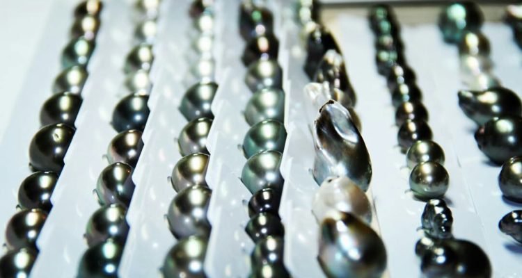 Pearls of Tahiti: the history