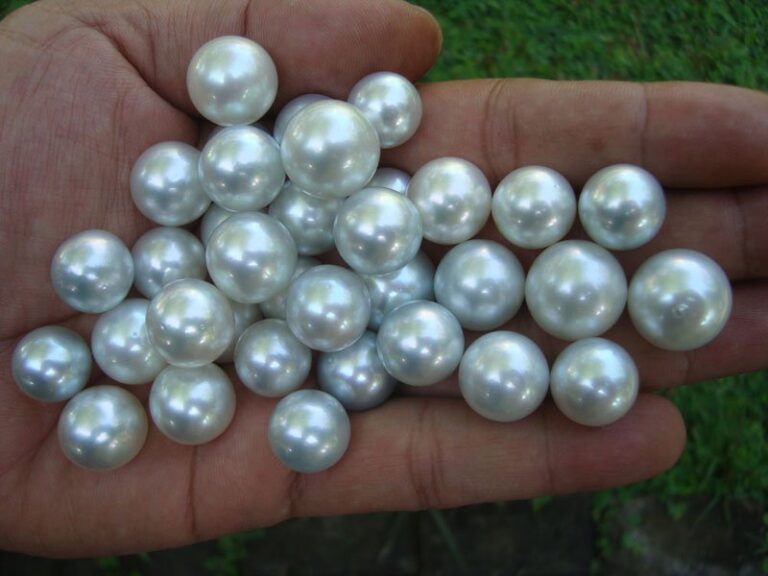 South Pacific Pearls, the biggest and most precious ones!
