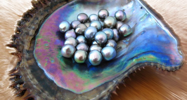 The Big Yaqui pearl