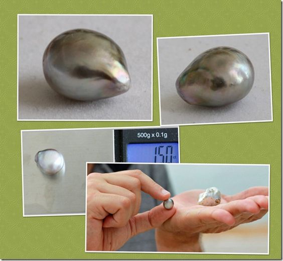 The Merman’s teardrop pearl