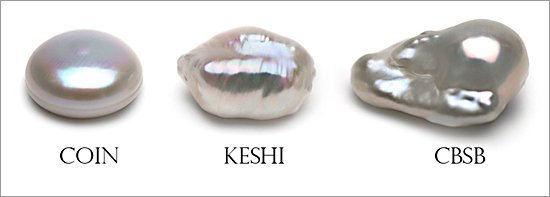 The new CBSB pearl and the return of the Biwa mussels
