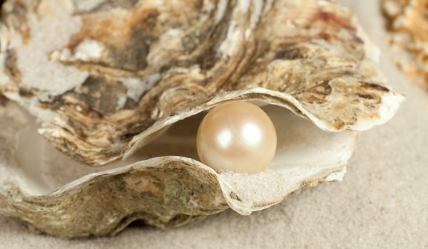 Pearls of wisdom!