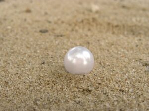 perla naturale