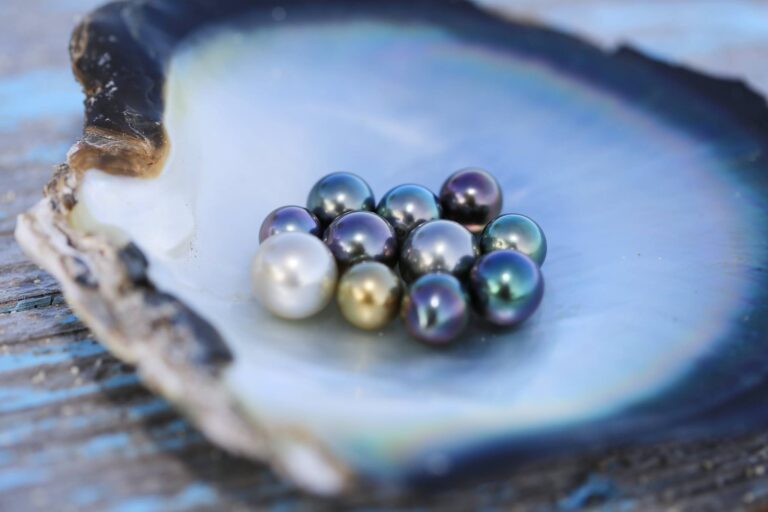 Le perle nere di Tahiti