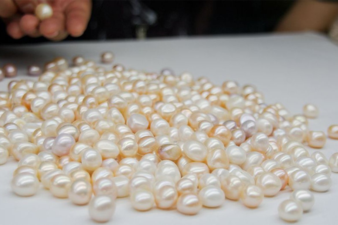 Perla Acqua Dolce - Genisi Pearls