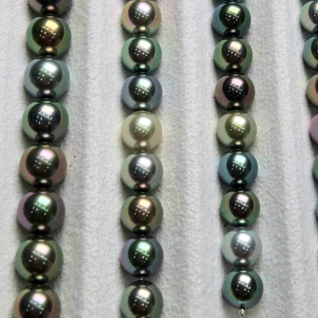 Collane akoya grigio silver naturale