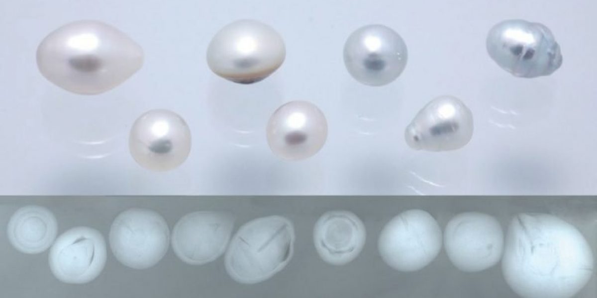 Genisi Come distinguere le perle coltivate dalle naturali