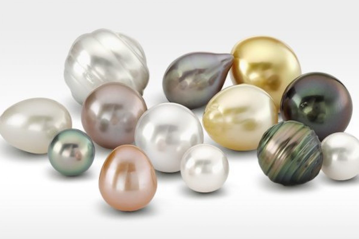 Genisi perle coltivate