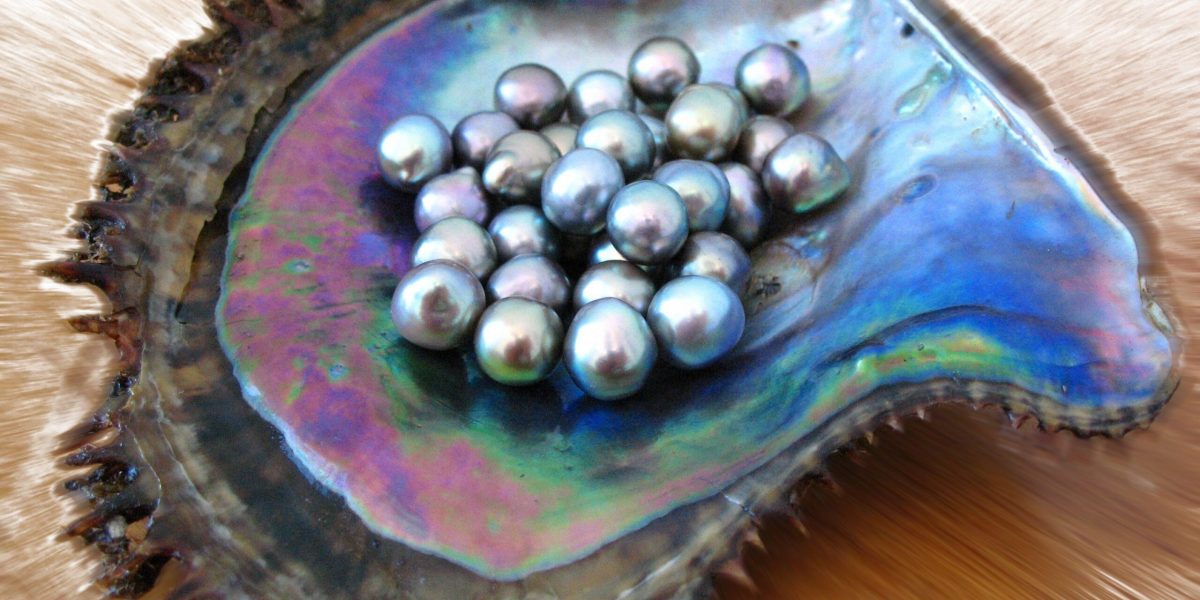 Genisi Perle naturali della Big Yaqui